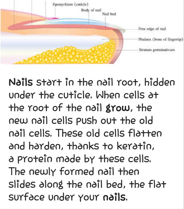 How does salt make your nails grow faster? - ECHEMI