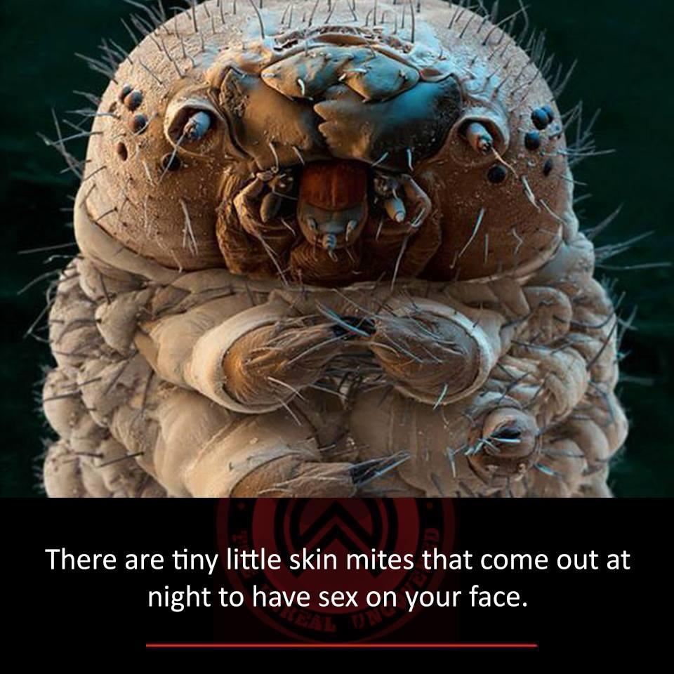 Sex On Your Face