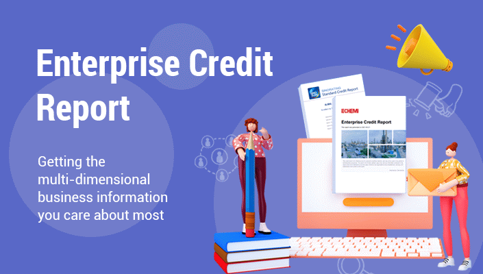echemi-enterprise-credit-report
