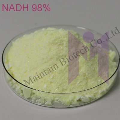 buy Beta-Nicotinamide adenine dinucleotide reduced disodium salt 98% NADH 606-68-8