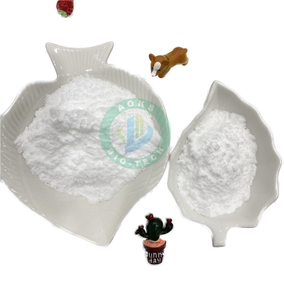 High Quality Disodium Hydrosul Fite CAS 7775-14-6 99% white powder 7775-14-6 aoks