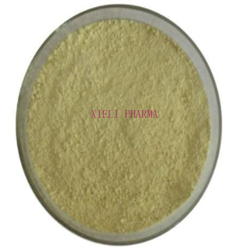 wholesale 10-Hydroxy- CPT   97% light yellow powder  Xieli
