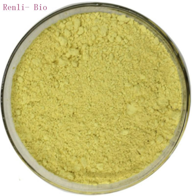 wholesale Cheap Price 90% Baicalin Powder with CAS 21967-41-9 From Chinese Manufacturer