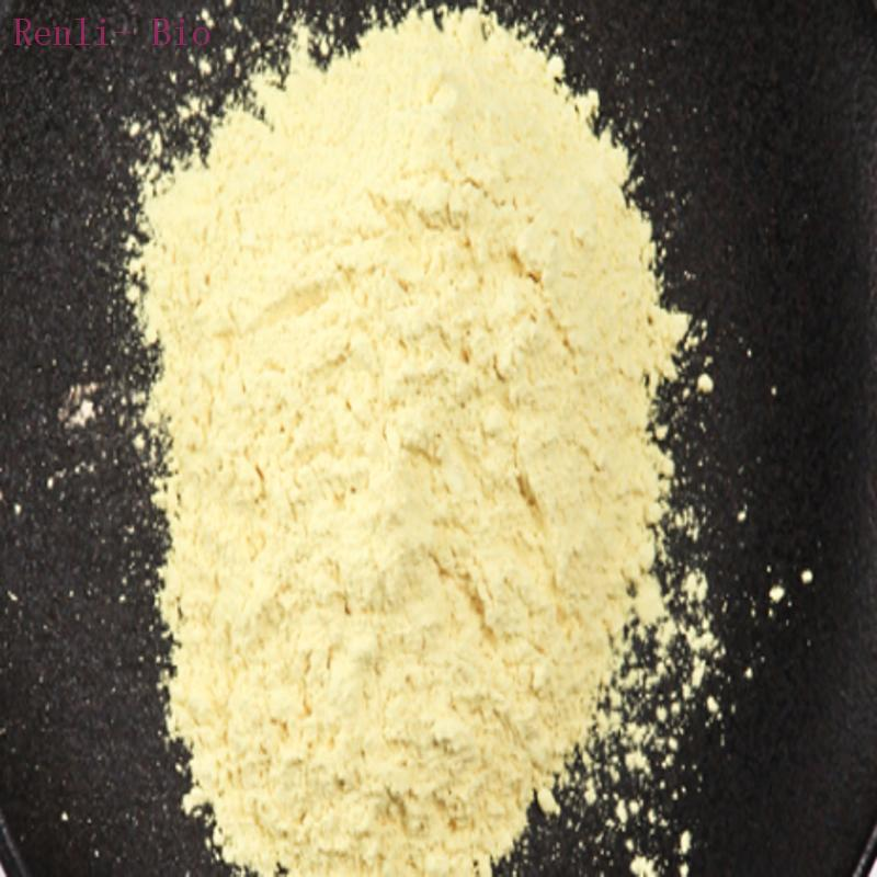 wholesale Cheap Price Plant Extract 95% Rutin light Yellow Powder with CAS 153-18-4 From Chinese Manufacturer