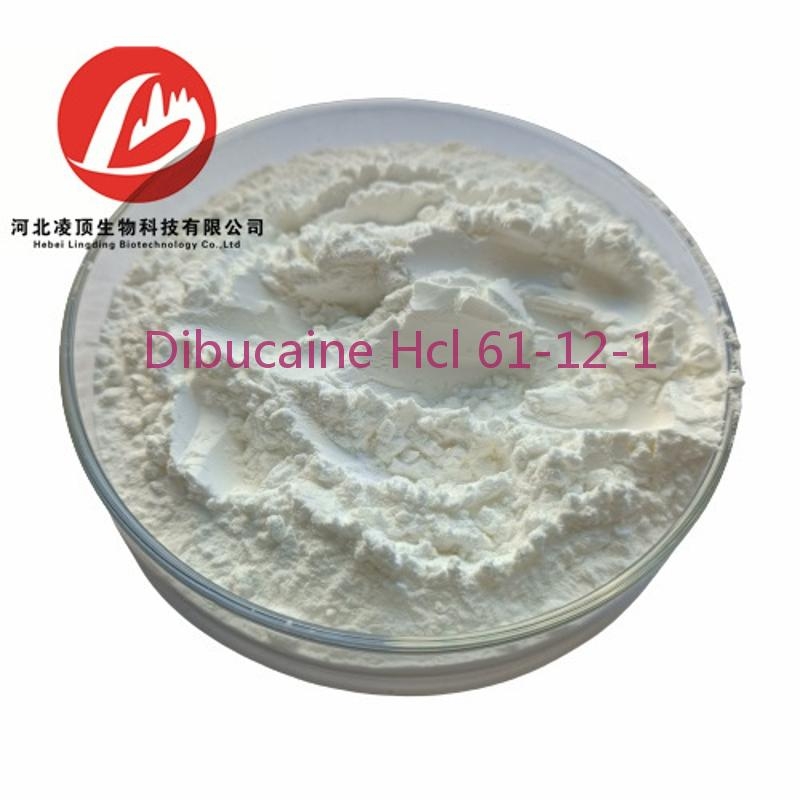 wholesale Local Anesthetics Dibucaine Hydrochloride CAS 61-12-1 Cinchocaine Powder