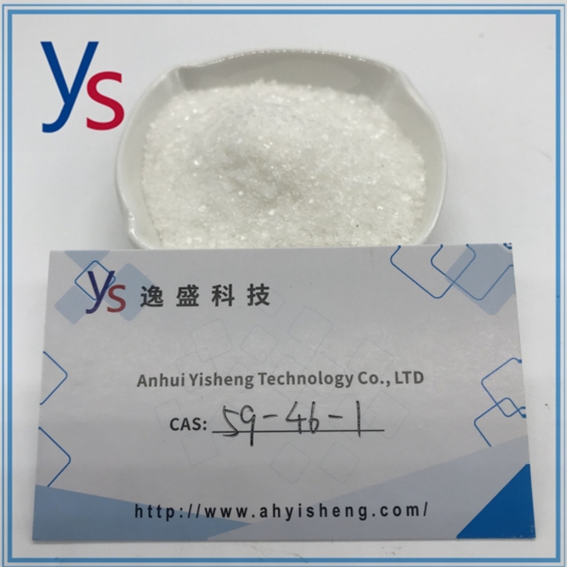 wholesale Cas 59-46-1 Procaine 99.9% White Powder with Safe Delivery Yisheng
