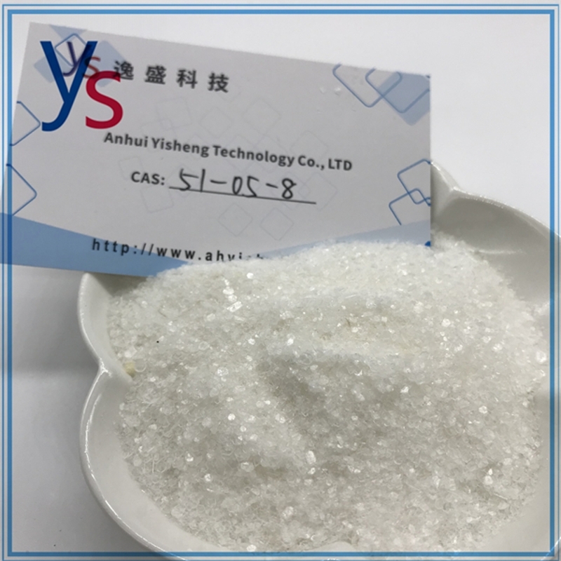 wholesale CAS 51-05-8 Procaine hydrochloride High Quality White Powder Yisheng