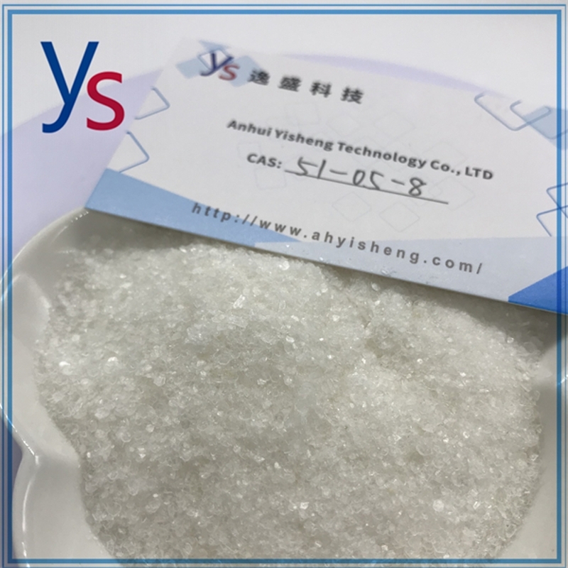 wholesale CAS 51-05-8 Procaine hydrochloride Hot Selling 99.9% White Powder Yisheng
