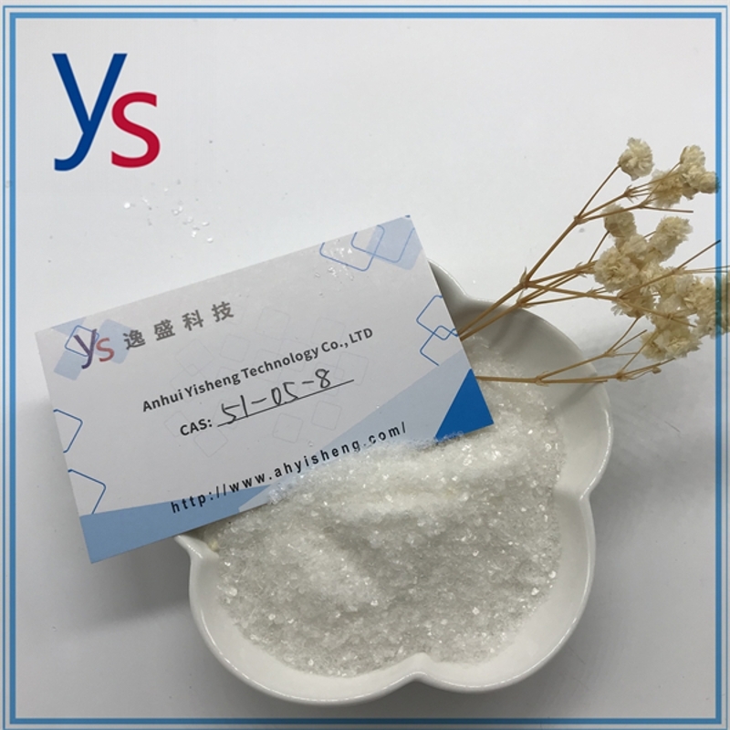 wholesale CAS 51-05-8 Procaine hydrochloride Safe Delivery 99.9% White Powder Yisheng