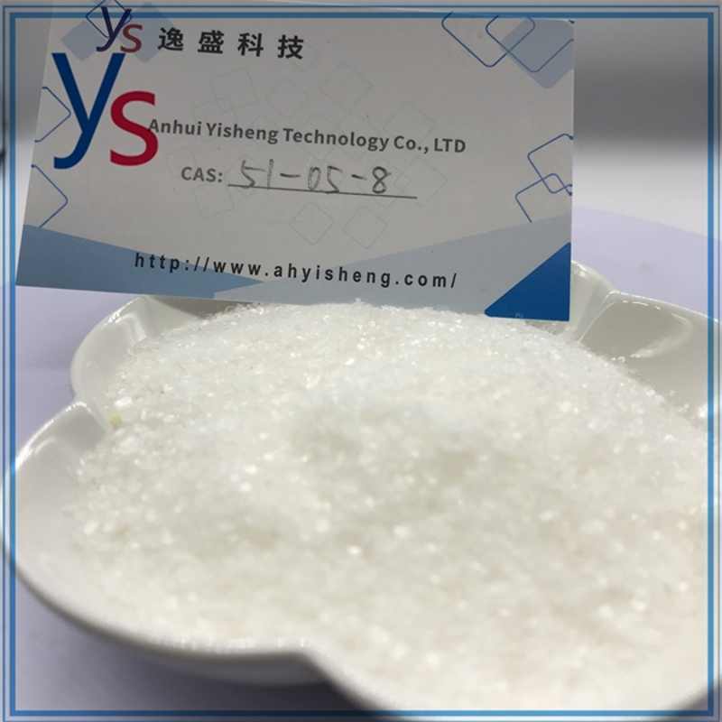 wholesale CAS 51-05-8 Procaine hydrochloride White Powder Yisheng