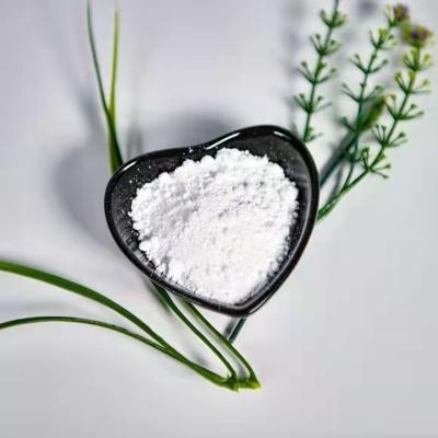 Nootropil Piracetam 99% Powder 7491-74-9 Guangge