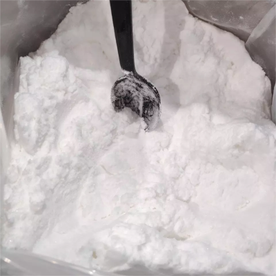 higher quality SodiuM bicarbonate WP-8 CAS NO.144-55-8 99.9% white powder  144-55-8 WPF