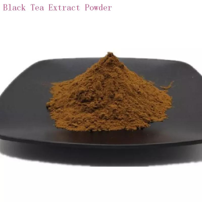 Black Tea Extract Powder 98% Brown Powder