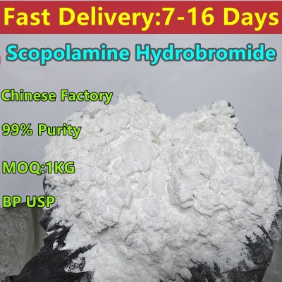 Safe Customs Clearance,Scopolamine 99% Purity Powder 51-34-3 TY