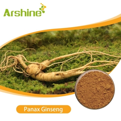 Panax Ginseng Extract 80% brown yellow powder  Arshine
