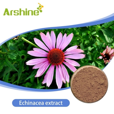 Echinacea Extract 10% Brown powder  Arshine