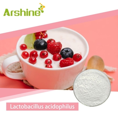 Lactobacillus casei 100% white powder  Arshine
