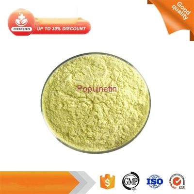 Populnetin 98% yellow powder natural Plant Extract 520-18-3 Kaempferol