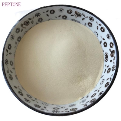 Peptone 95% light yellow powder Y001A HRBS