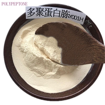 Polypeptone, Poly Peptone 95% light yellow powder Y001H HRBS
