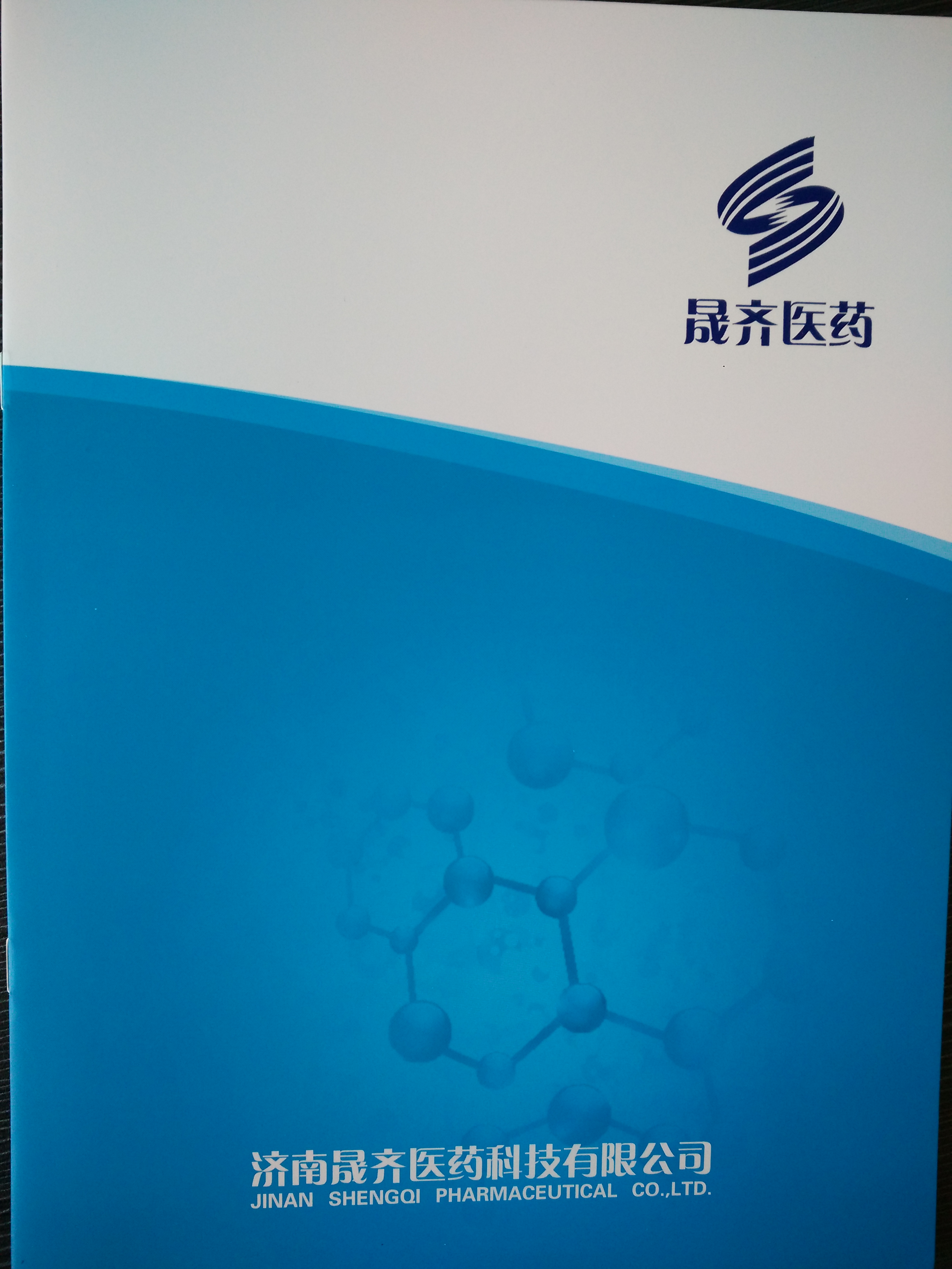 Manufactory_Jinan Shengqi Pharmaceutical Co., Ltd